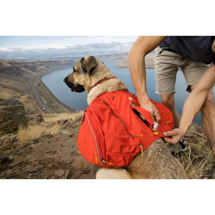 Ruffwear Palisades� Dog Backpack in Red Sumac (Medium)