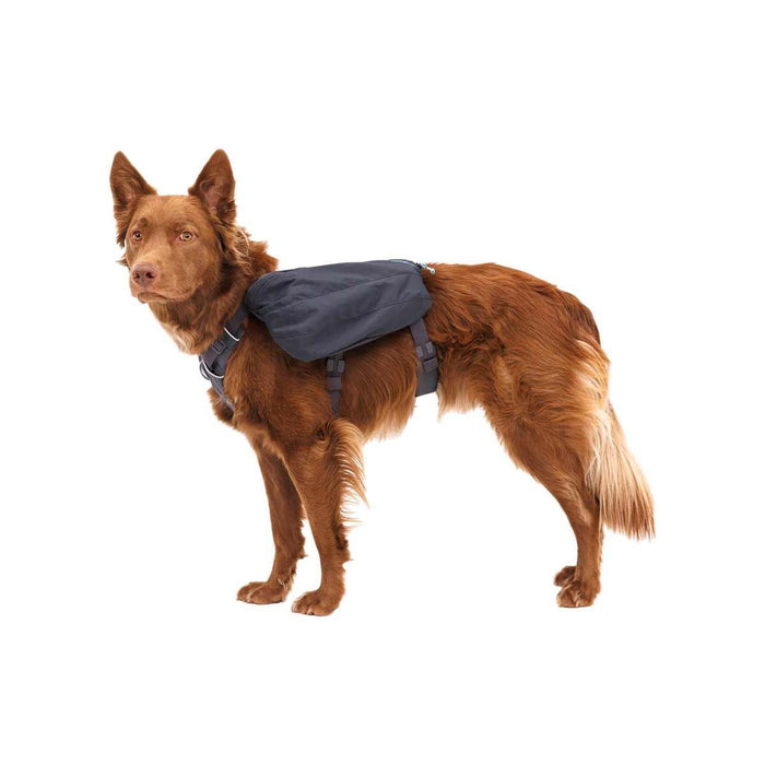 Ruffwear Front Range� Dog Day Pack in Basalt Grey (Medium)
