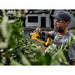 Dewalt Power Tools DCMPP568P1 XR Pruner 18V 1 x 5.0Ah Li-ion DeWALT Power Tools - Town Tools