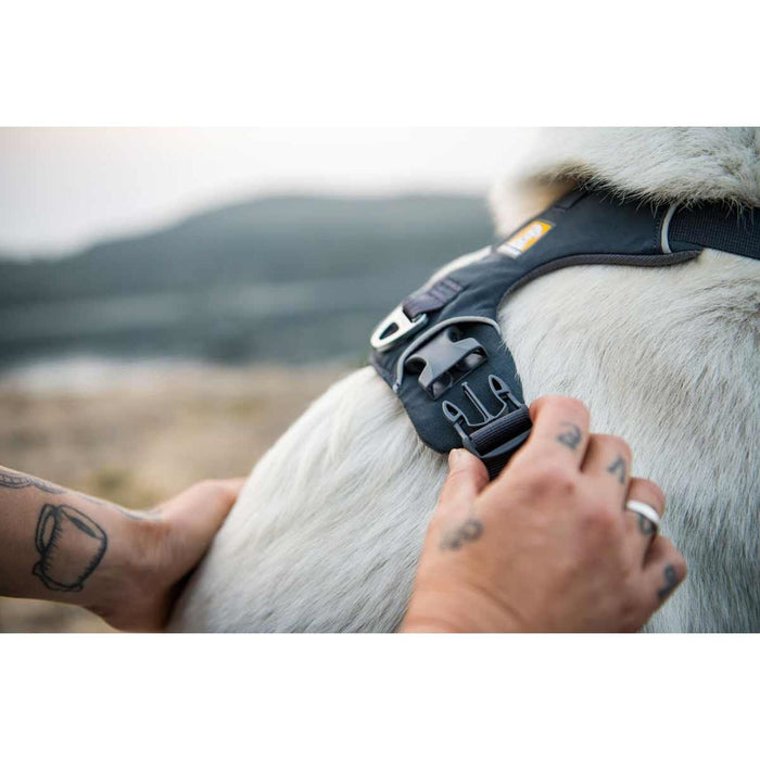 Ruffwear Front Range� Dog Harness in Basalt Grey (X Small)