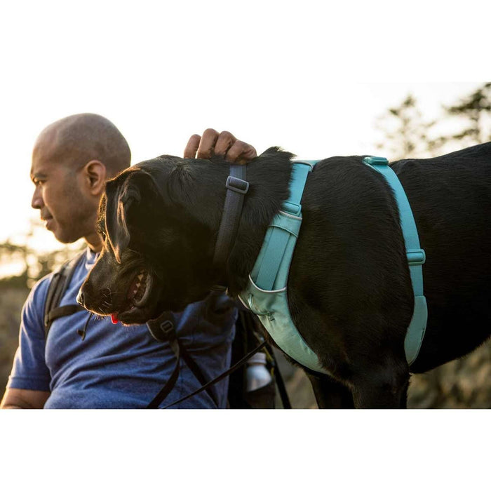 Ruffwear Front Range� Dog Harness in River Rock Green (L / XL)