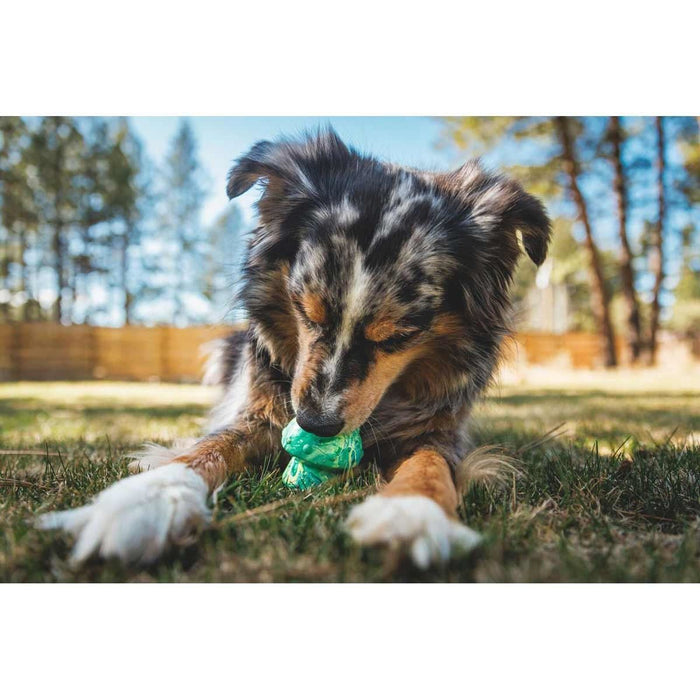 Ruffwear Toadstool� Dog Toy in Moss Green (One Size)