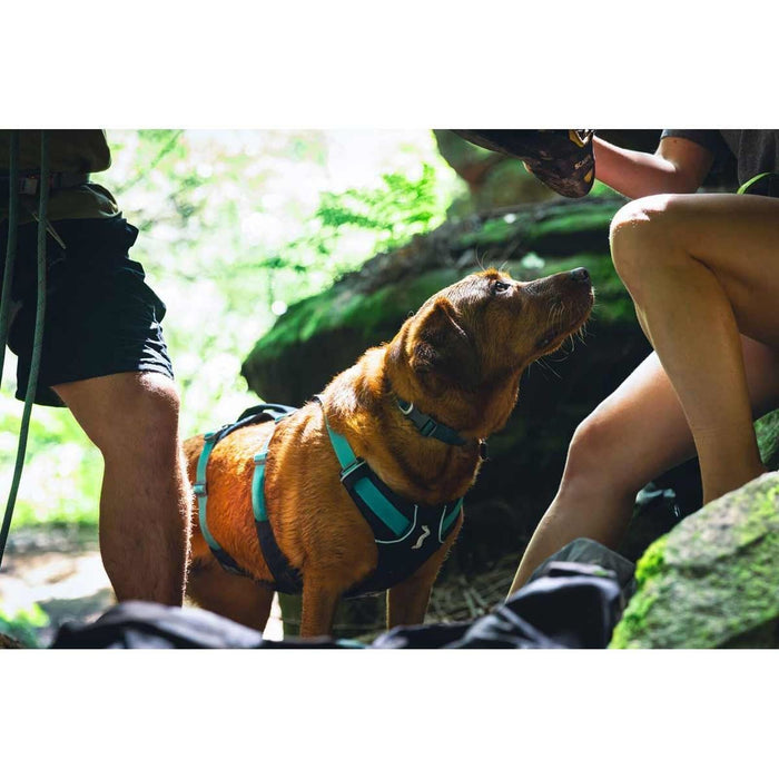 Ruffwear Flagline� Dog Harness with Handle in Basalt Grey (L / XL)
