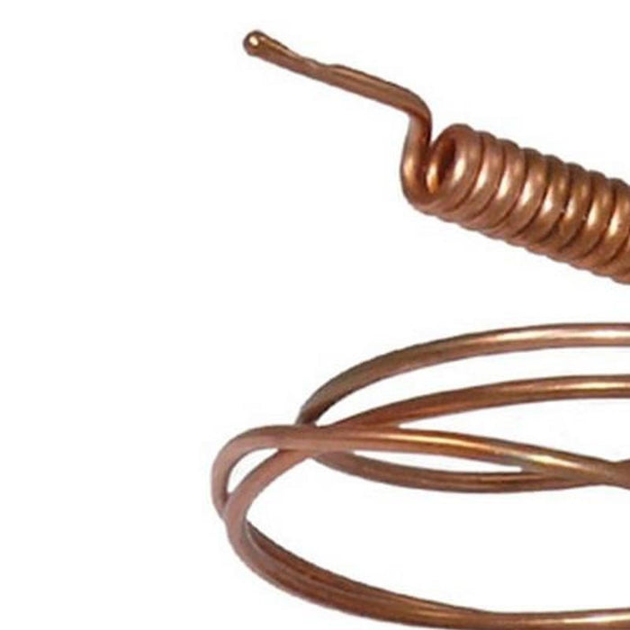 Safety Temperature Limiter (87161423070)