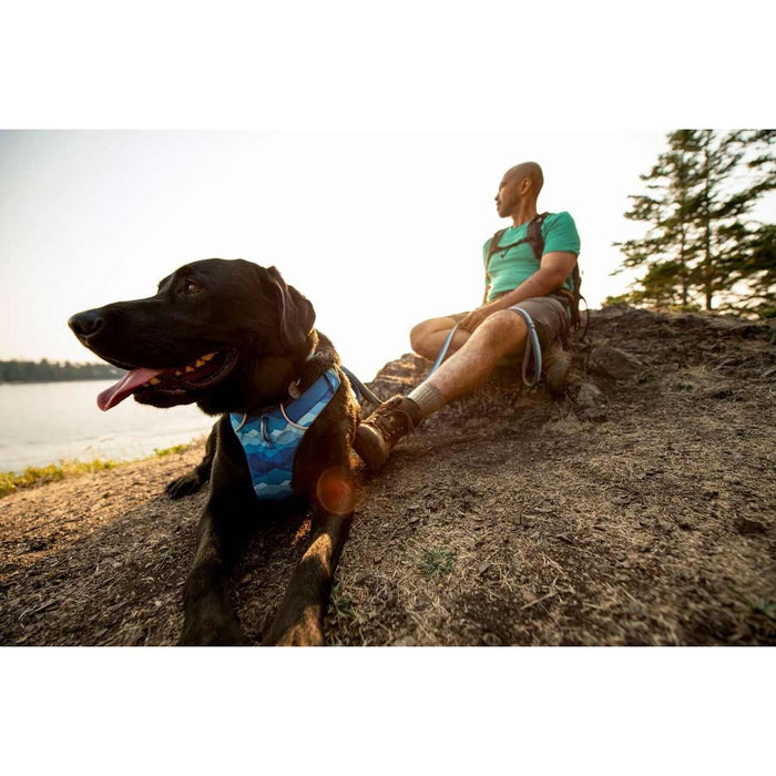Ruffwear Front Range� Dog Harness - Coastal Mountains Print (Medium)