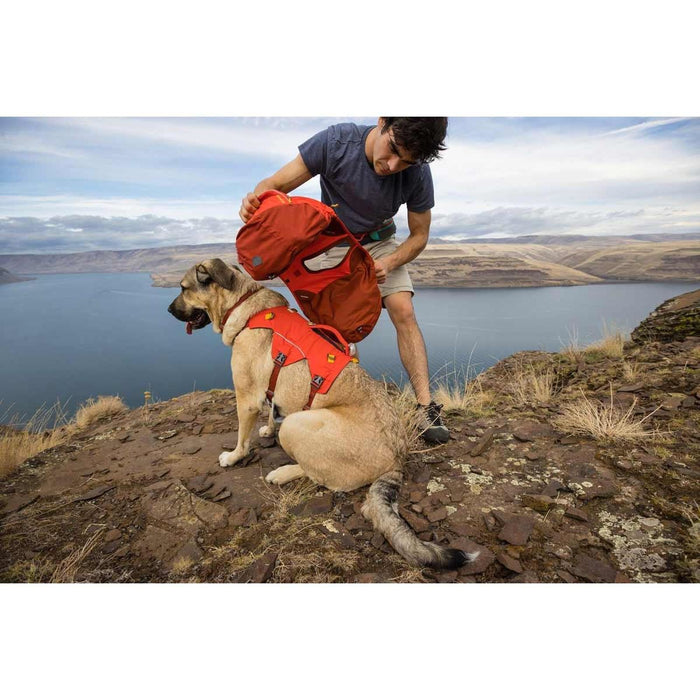 Ruffwear Palisades� Dog Backpack in Red Sumac (Medium)