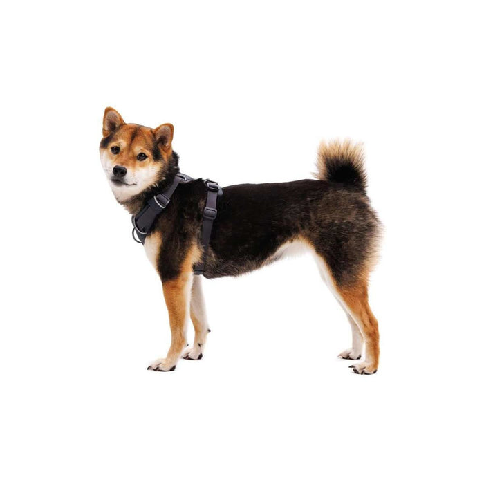Ruffwear Front Range� Dog Harness in Basalt Grey (X Small)