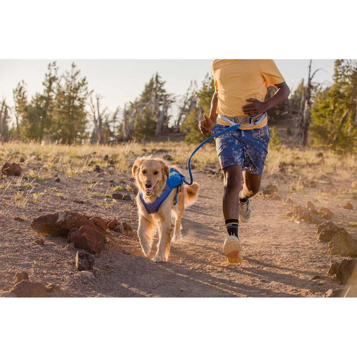 Ruffwear Trail Runner� Belt in Blue Pool (Small / Medium)