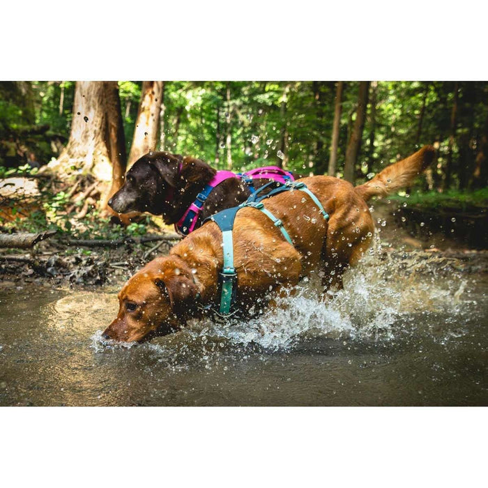 Ruffwear Flagline� Dog Harness with Handle in Basalt Grey (L / XL)