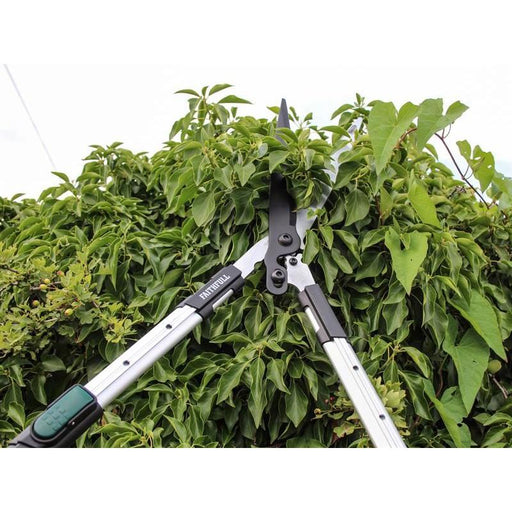 Faithfull Countryman Telescopic Hedge Shear 12in Blade Faithfull - Town Tools