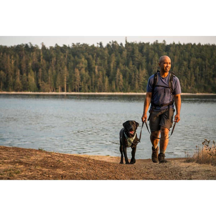 Ruffwear Front Range� Dog Harness in River Rock Green (Small)