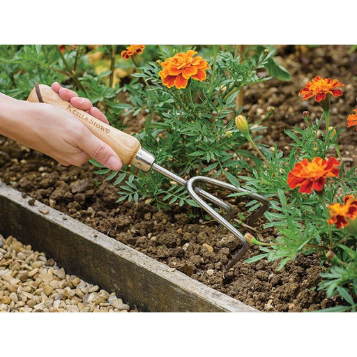 Kent & Stowe Stainless Steel Hand 3-Prong Cultivator, FSC® Kent & Stowe - Town Tools