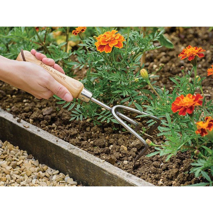 Kent & Stowe Stainless Steel Hand 3-Prong Cultivator, FSC® Kent & Stowe - Town Tools