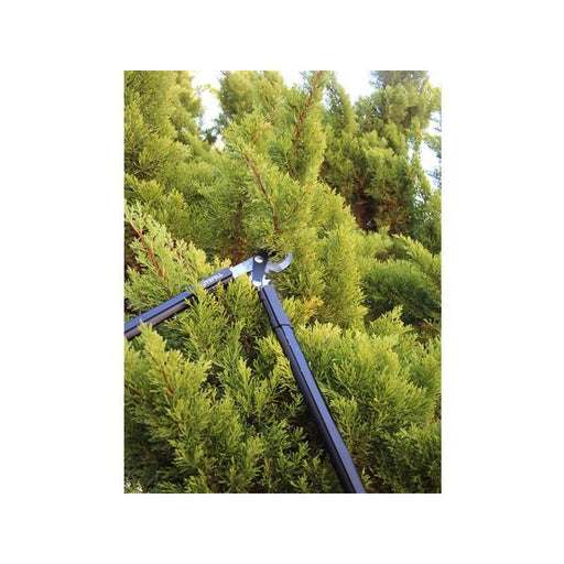 Faithfull Countryman Geared Bypass Lopper 600mm (24in) Faithfull - Town Tools