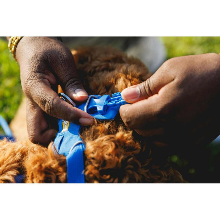 Ruffwear Front Range� Dog Harness in Blue Pool (X Small)