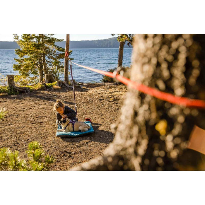 Ruffwear Knot-a-Hitch� in Red Clay (One Size)