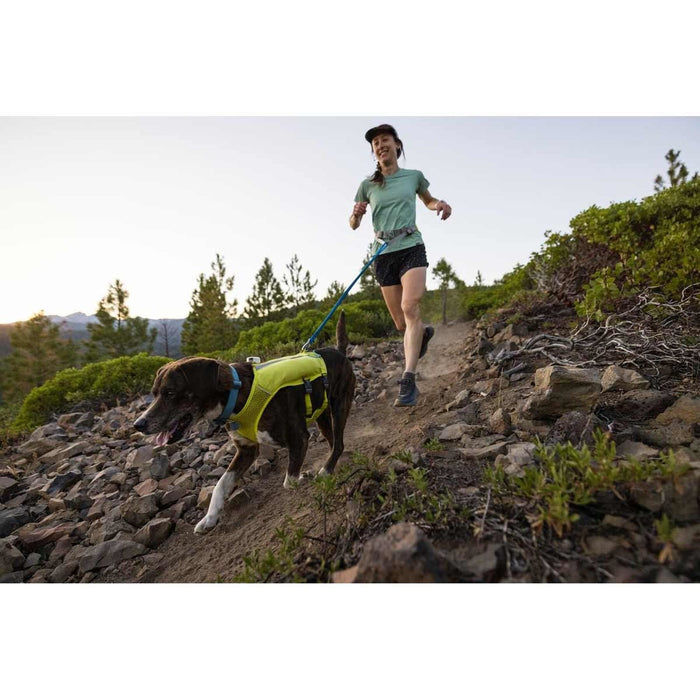 Ruffwear Trail Runner� Dog Lead in Blue Pool (1 to 1.8 m)