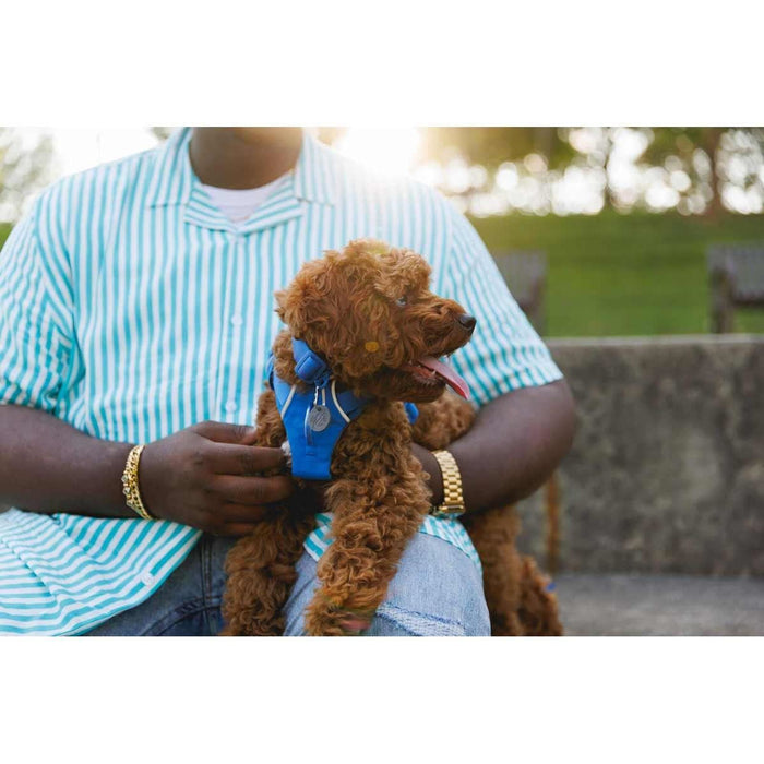 Ruffwear Front Range� Dog Harness in Blue Pool (X Small)