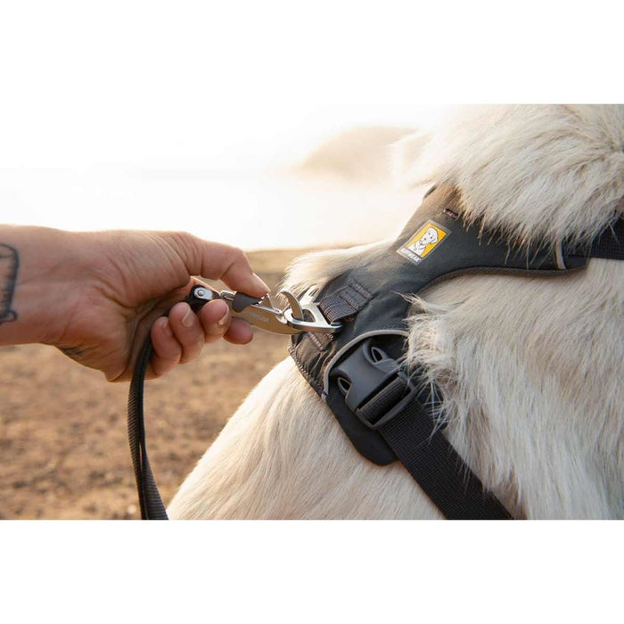 Ruffwear Front Range� Dog Harness in Basalt Grey (X Small)