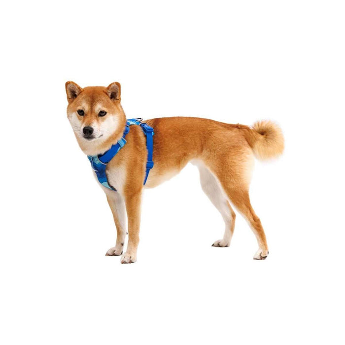 Ruffwear Front Range� Dog Harness - Coastal Mountains Print (Medium)