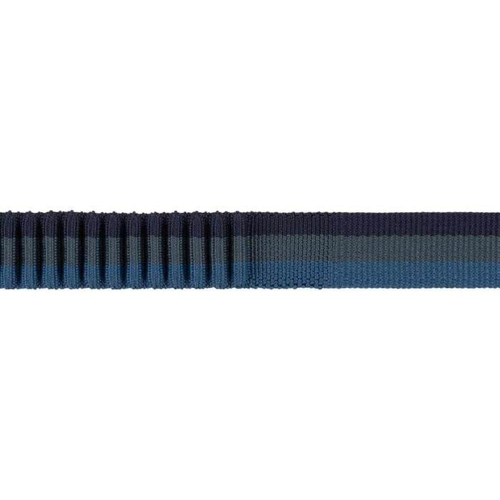Ruffwear Roamer� Bungee Dog Running Lead in Orion Blue (2.2 to 3.4m)